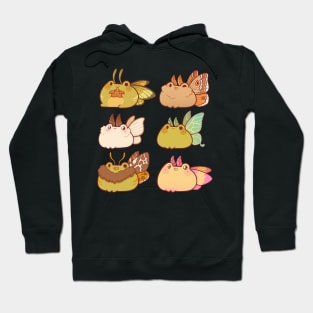 Fairy moth frogs Hoodie